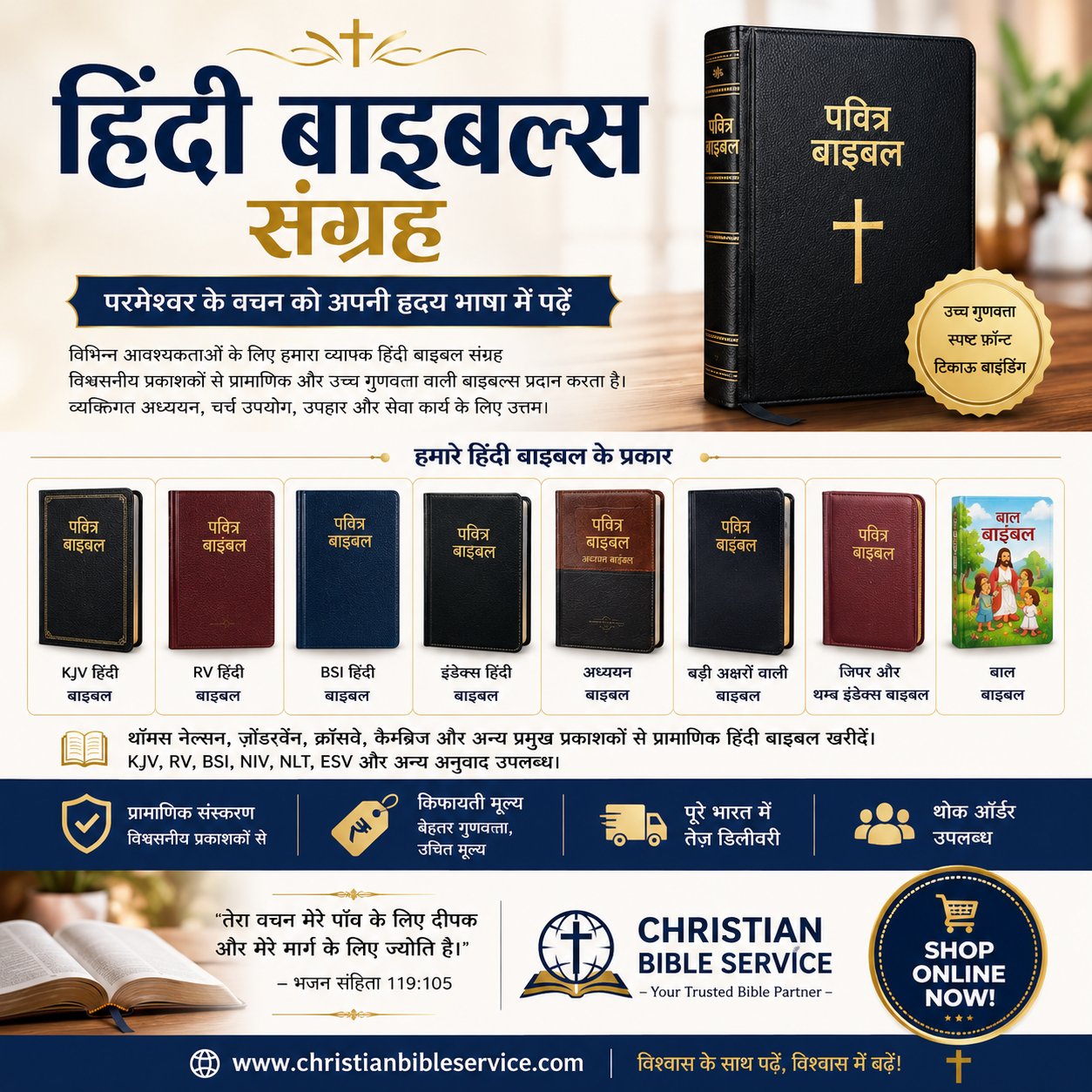 Hindi Bibles
