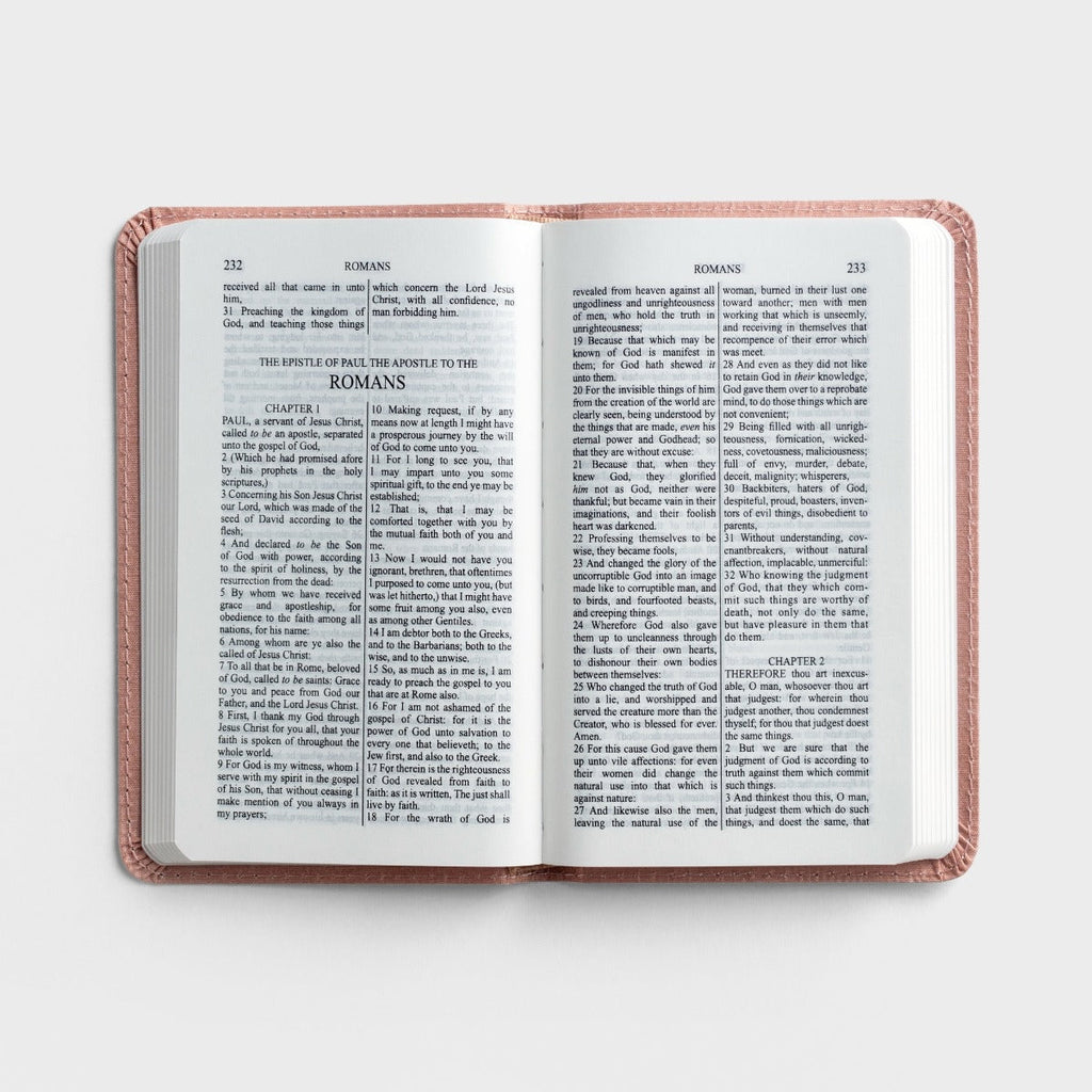KJV children's Bible New Testament with Psalms and Proverbs, baby's first Bible, pink cover