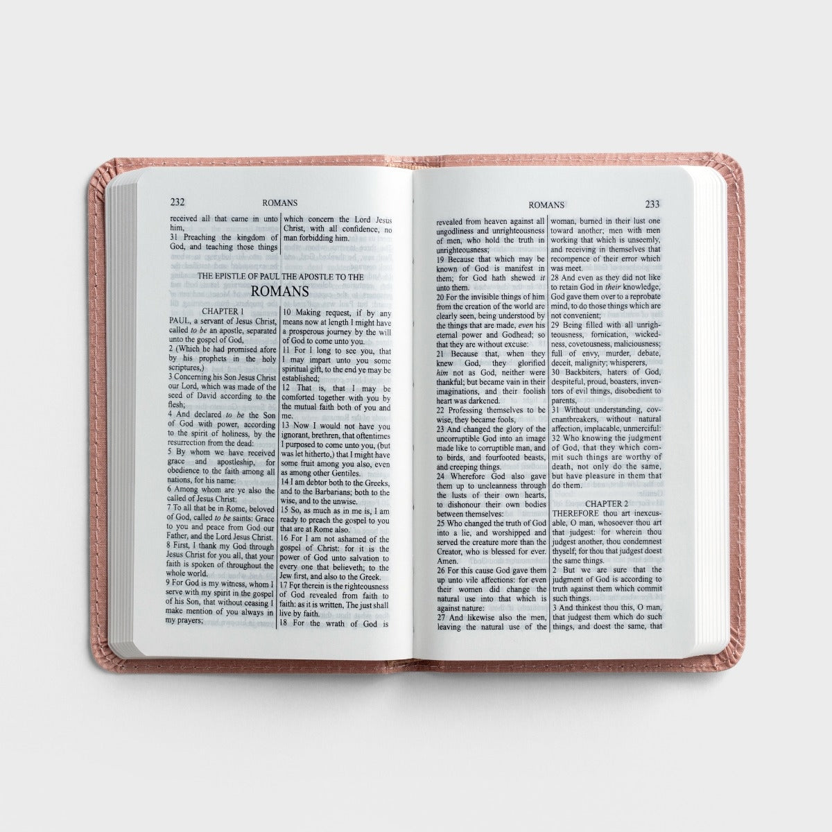 KJV children's Bible New Testament with Psalms and Proverbs, baby's first Bible, pink cover