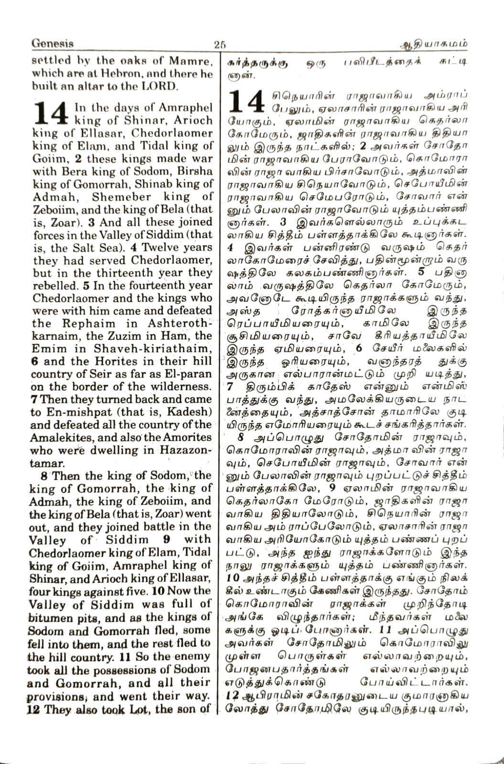 Tamil-English Parallel Bible, Large Font China Print Edition, BSI Black Leather with Silver Edges (ISBN: 9789393511881)