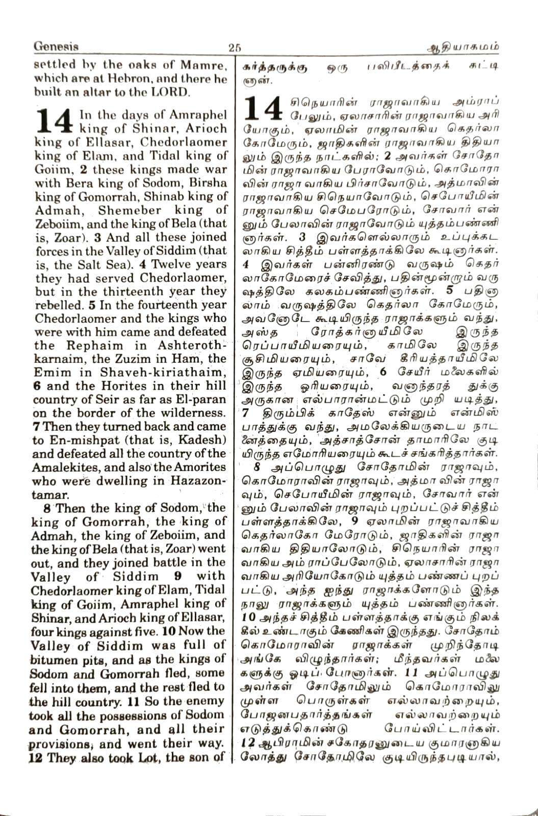 Tamil-English Parallel Bible, Large Font China Print Edition, BSI Black Leather with Silver Edges (ISBN: 9789393511881)
