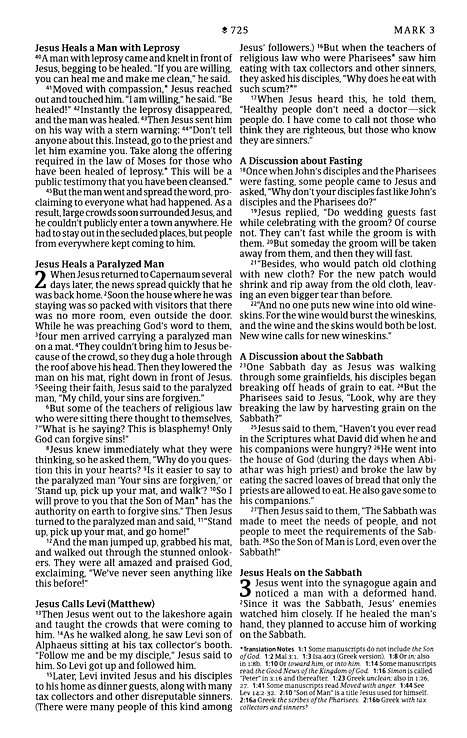 NLT Premium Value Thinline Bible: Dusty Pink Vines Leather-Like Cover (ISBN: 978196484789)