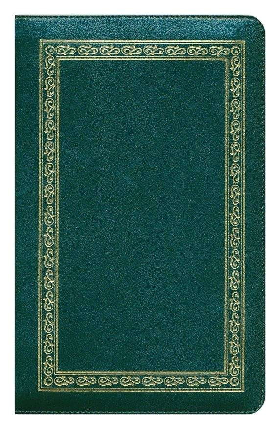 NIV Personal Size Large Print Bible - Premium Dark Green Goatskin Leather - Premier Collection