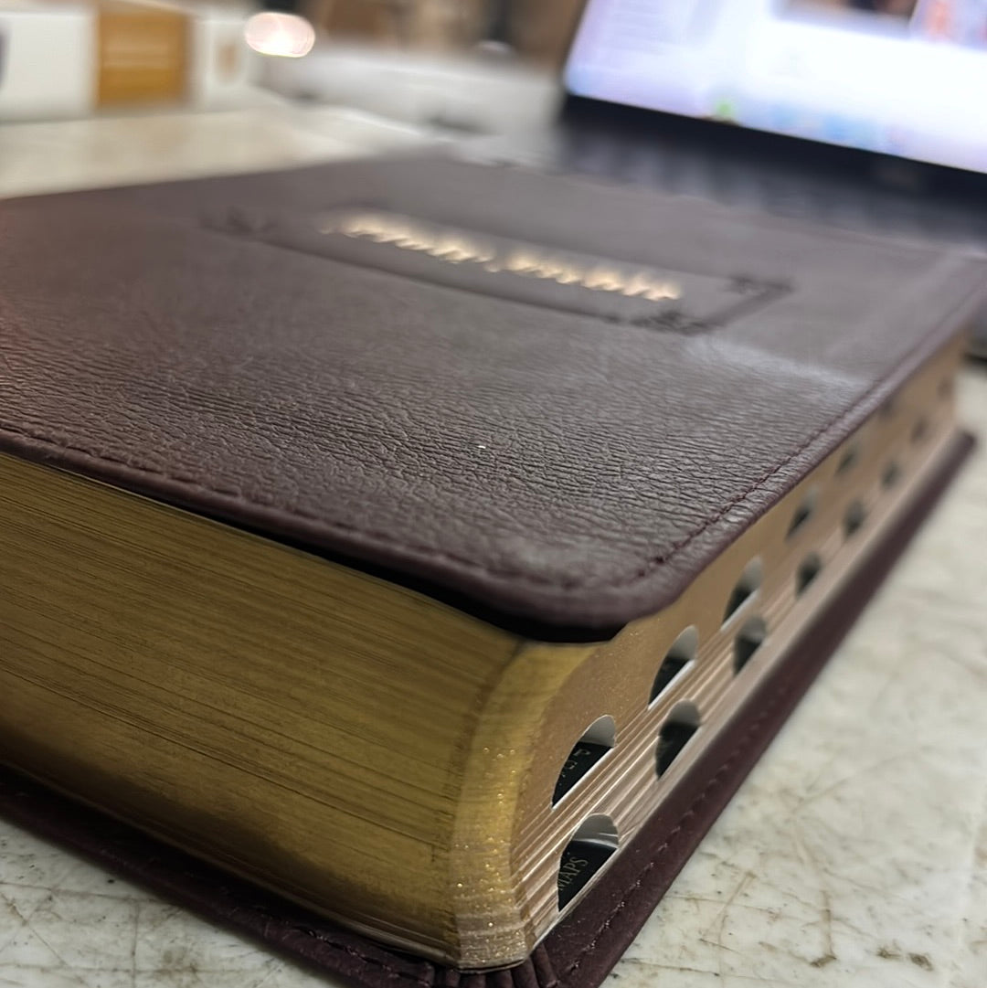 Personal size reference Bible with King James Version and large print