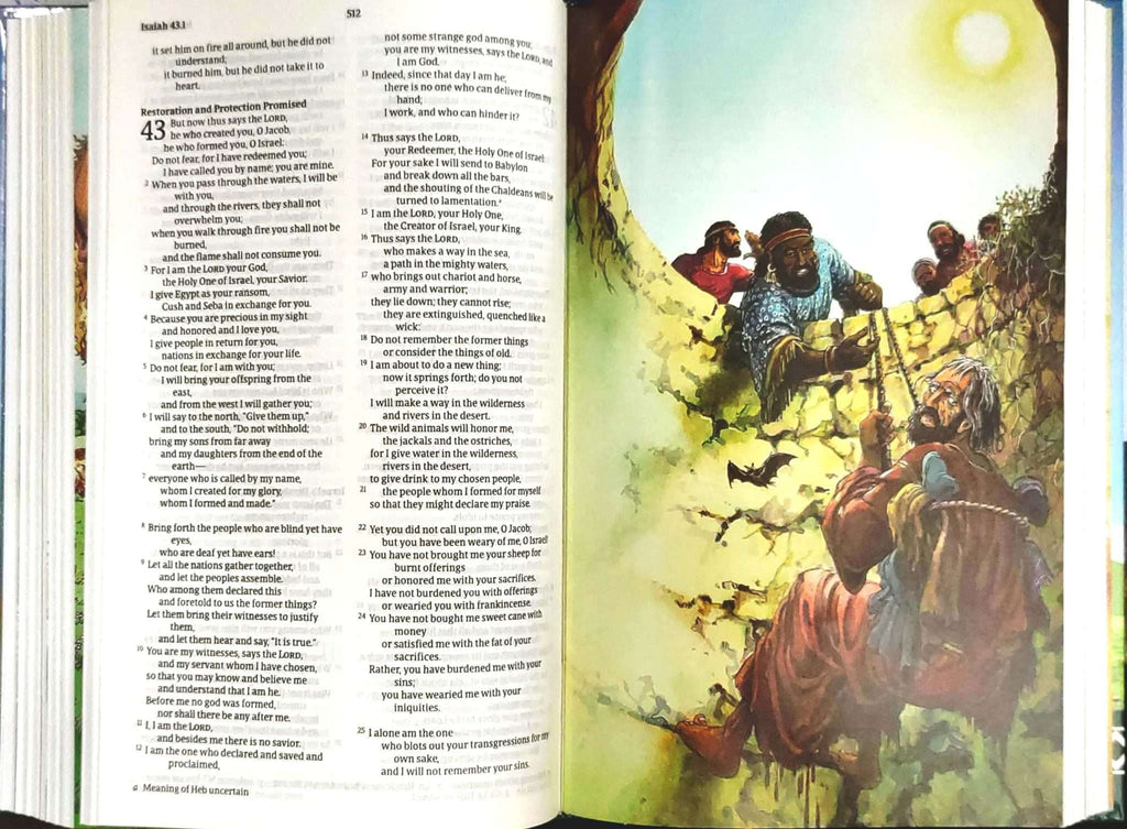 NRSV Children’s Bible, Hardbound Edition (ISBN: 9781496472014)