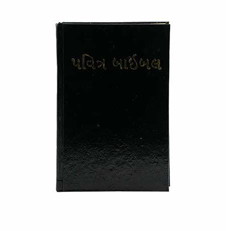 NIBV - Holy Bible (Gujarati) | Christian + KJV Holy Bible Super Giant Reference Bib Combo