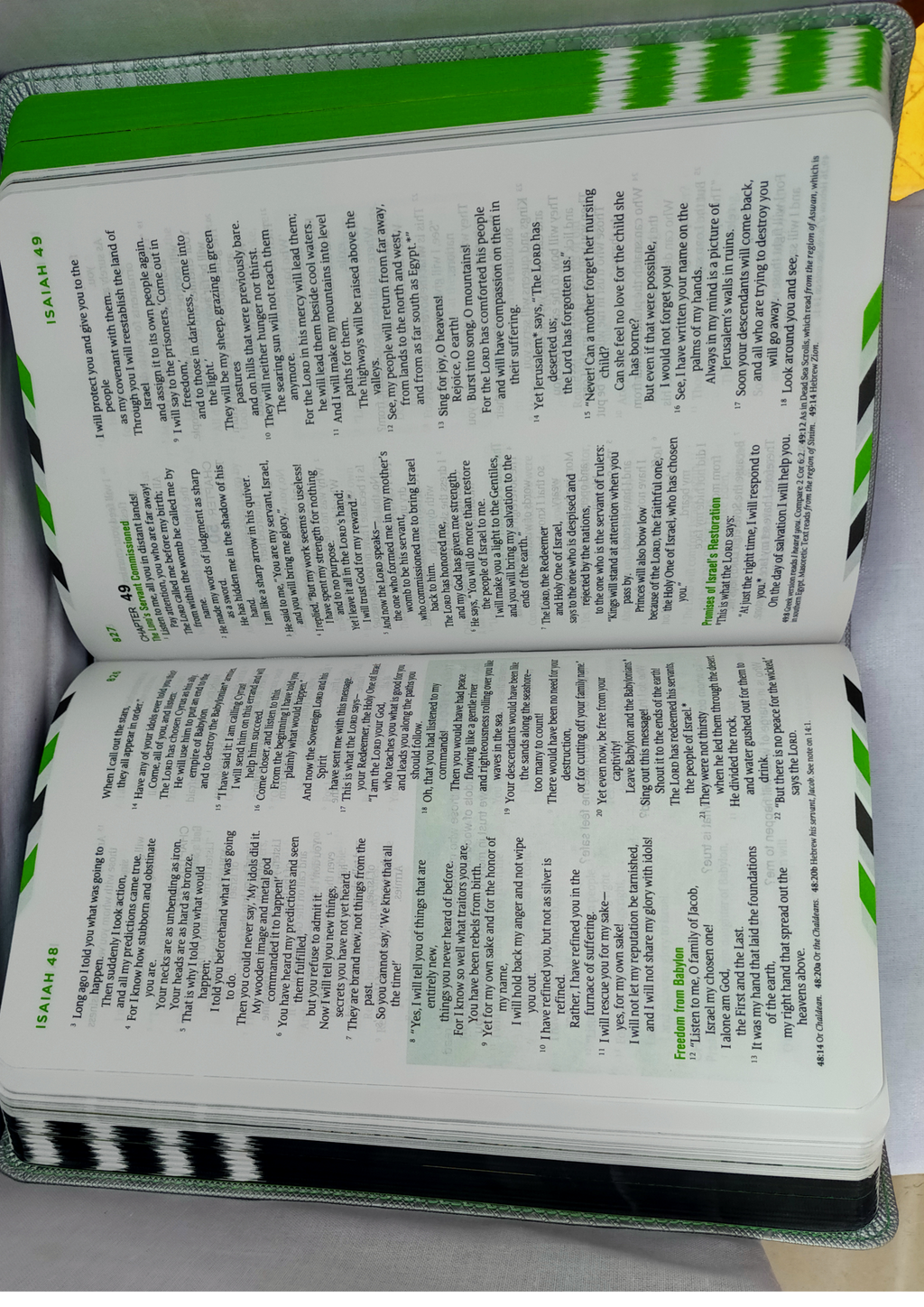 NLT Guys Life Application Study Bible Iridium Edition.
