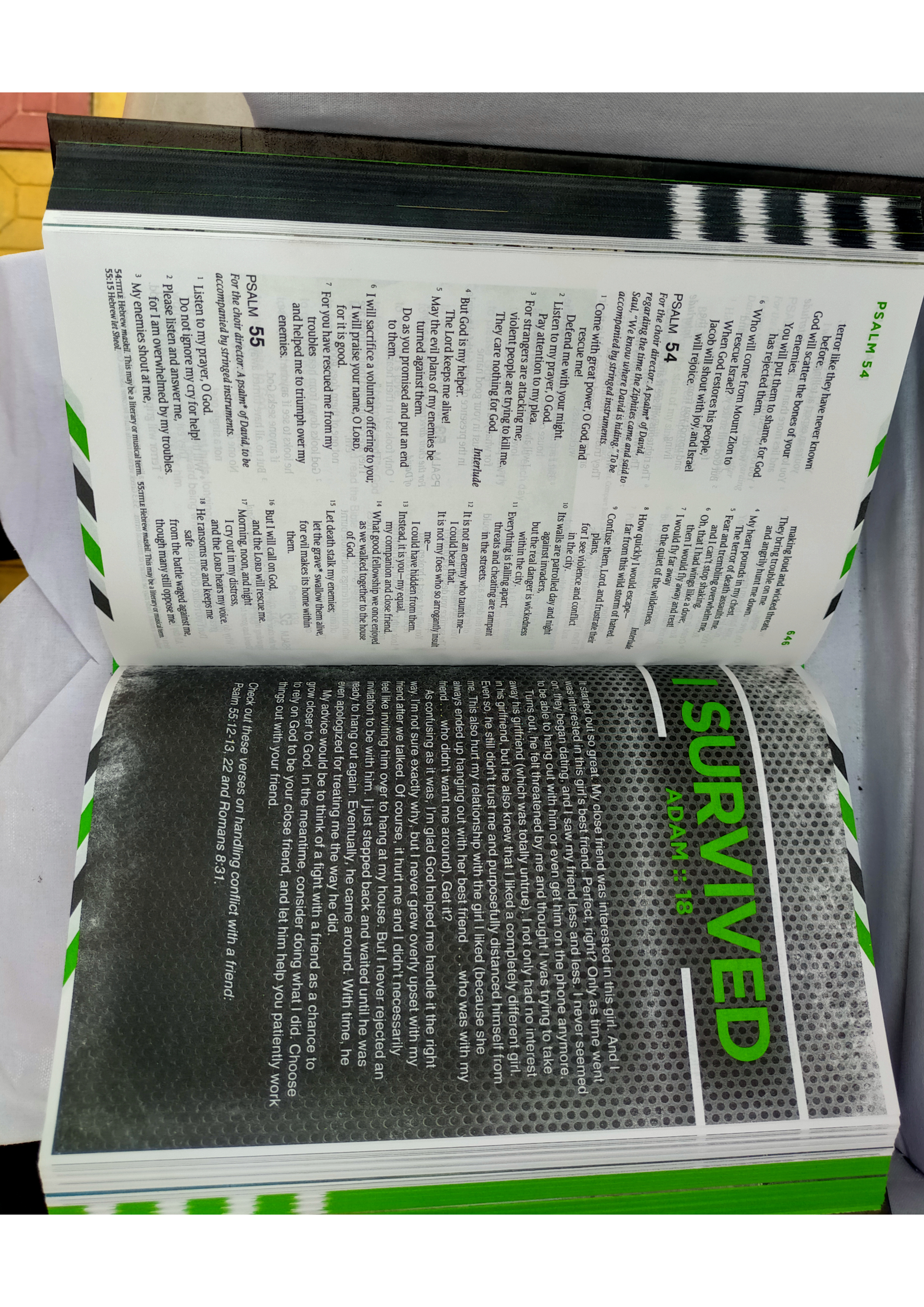 NLT Guys Life Application Study Bible Hardcover