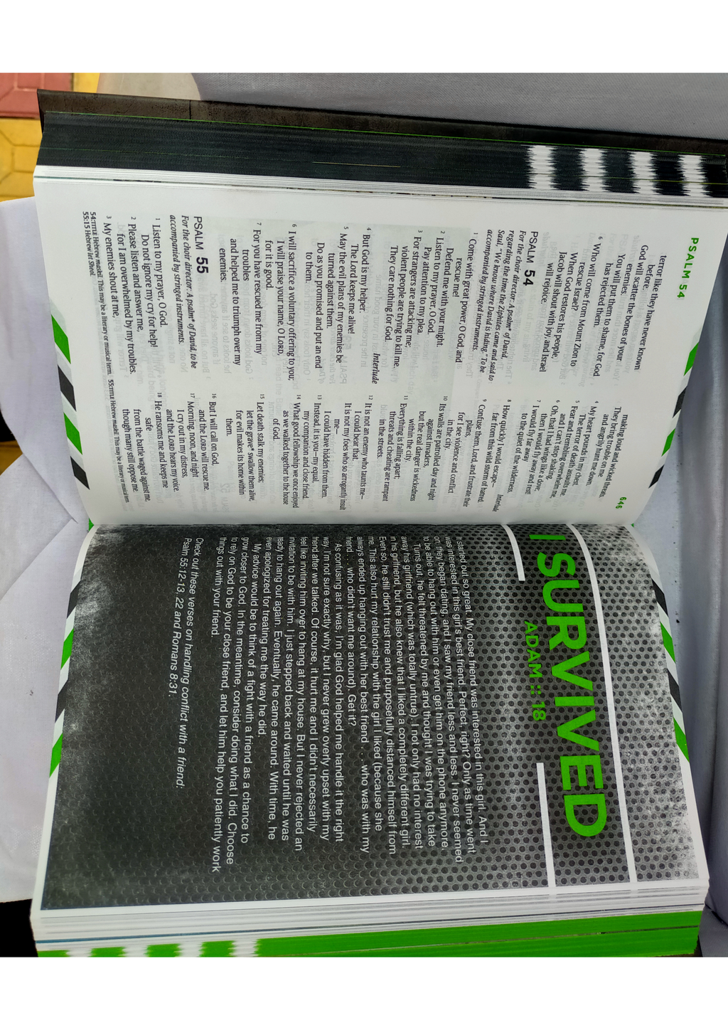 NLT Guys Life Application Study Bible Hardcover