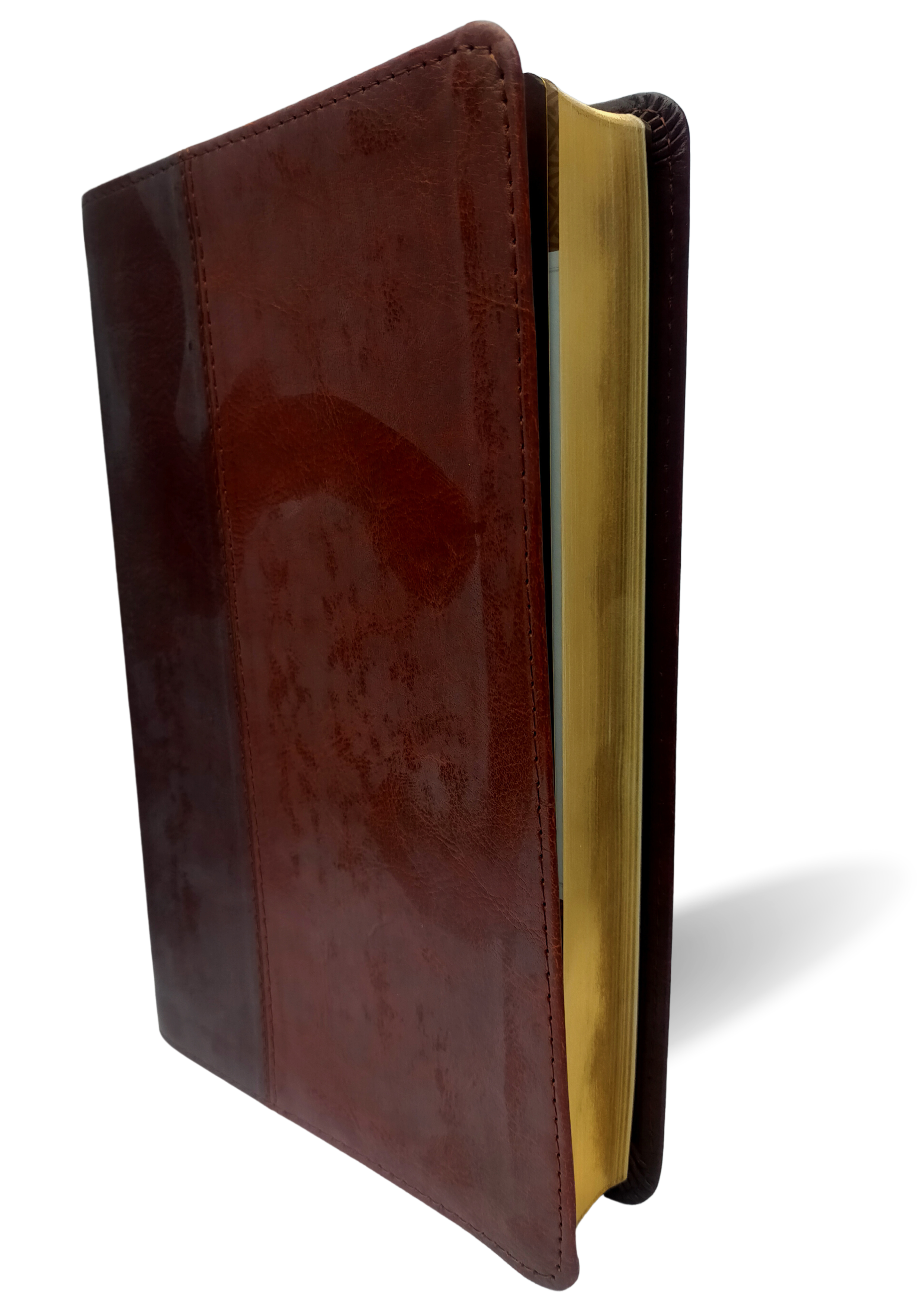 NLT Slimline Center Column Reference Bible, Brown/Tan: New Living Translation, Brown/ Tan, TuTone, Leatherlike, Slimline Center Column Reference Edition Imitation Leather