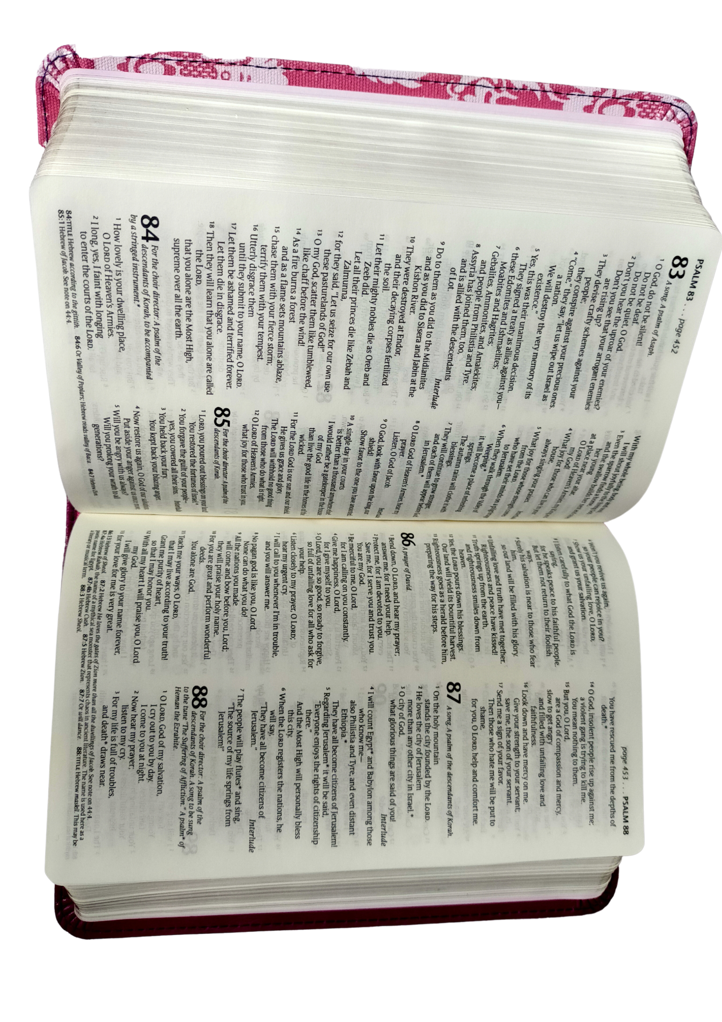 NLT Compact Bible Tutone Fuchsia Floral/Plum Paperback – Import,