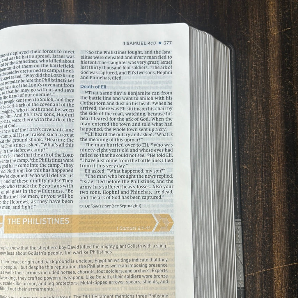 Leathersoft Black and Comfort Print NIV Storyline Bible details