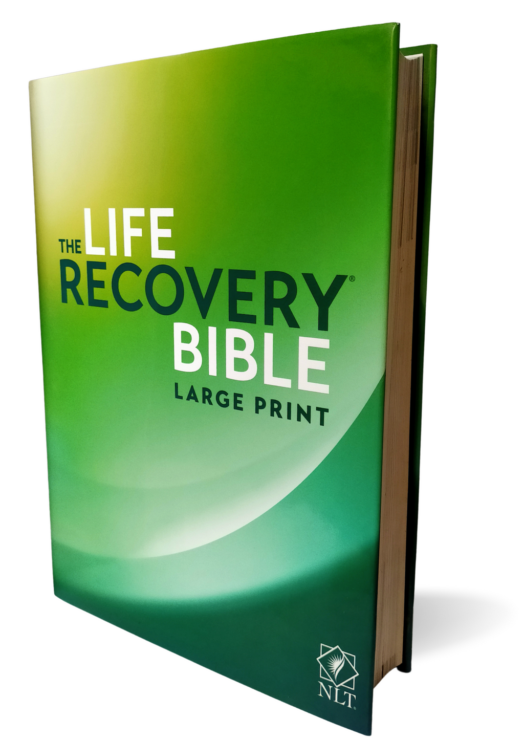 NLT Life Recovery Bible, Large Print, Paperback Paperback – Large Print,