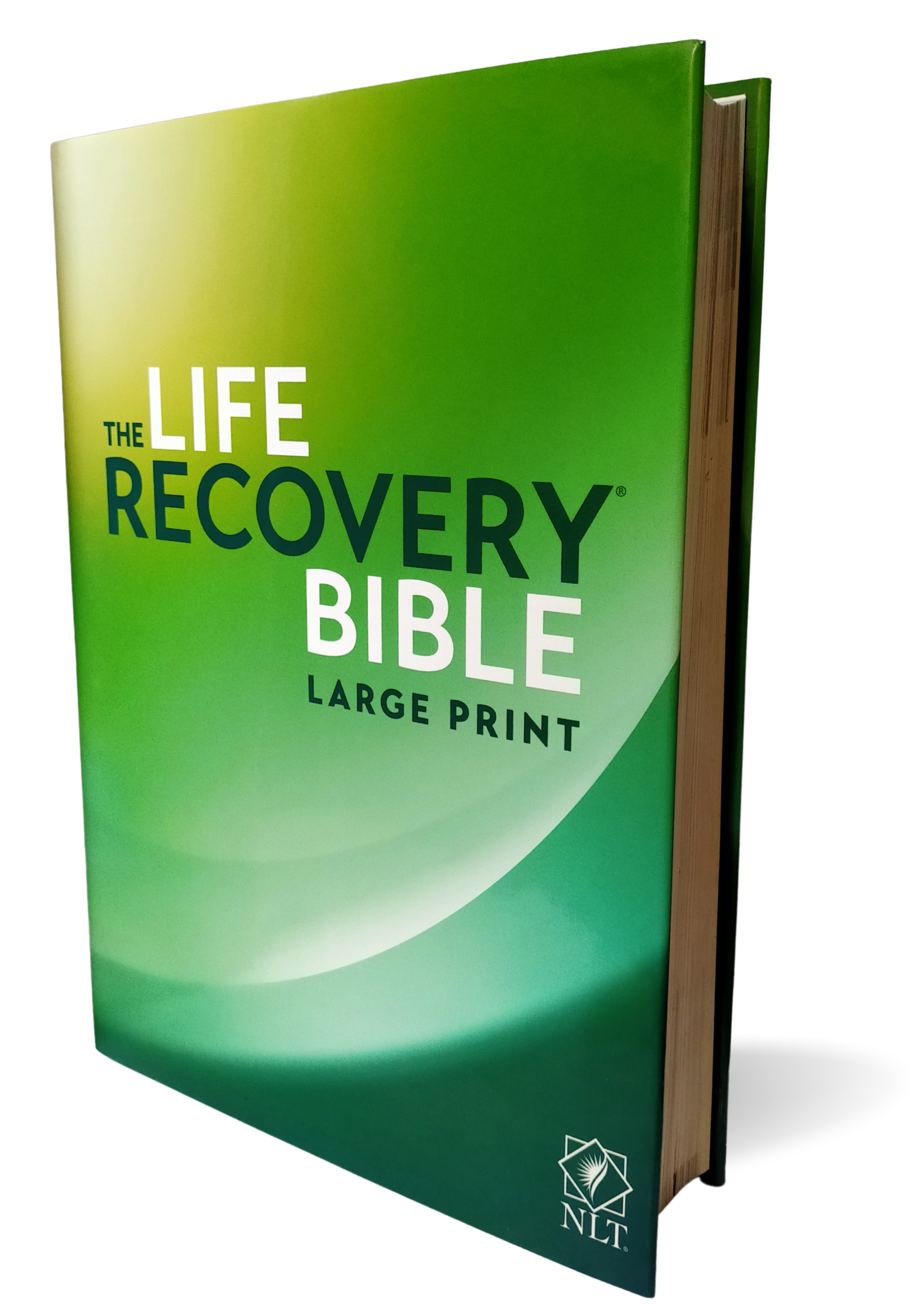 NLT Life Recovery Bible, Large Print, Paperback Paperback – Large Print,