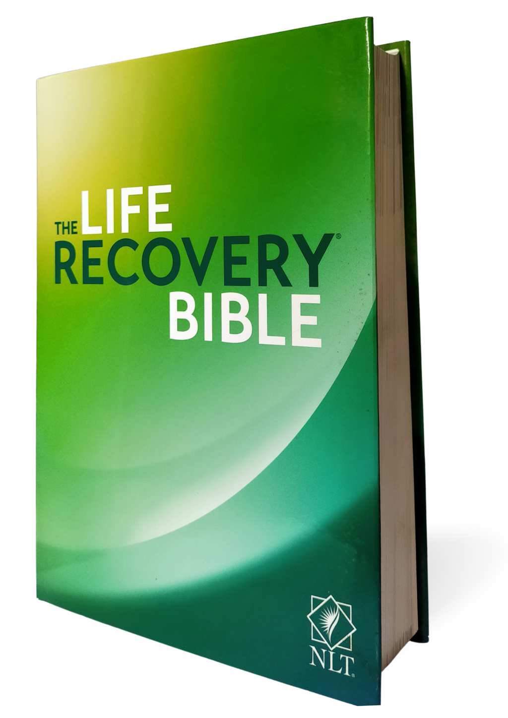NLT Life Recovery Bible, The Hardcover – Import,