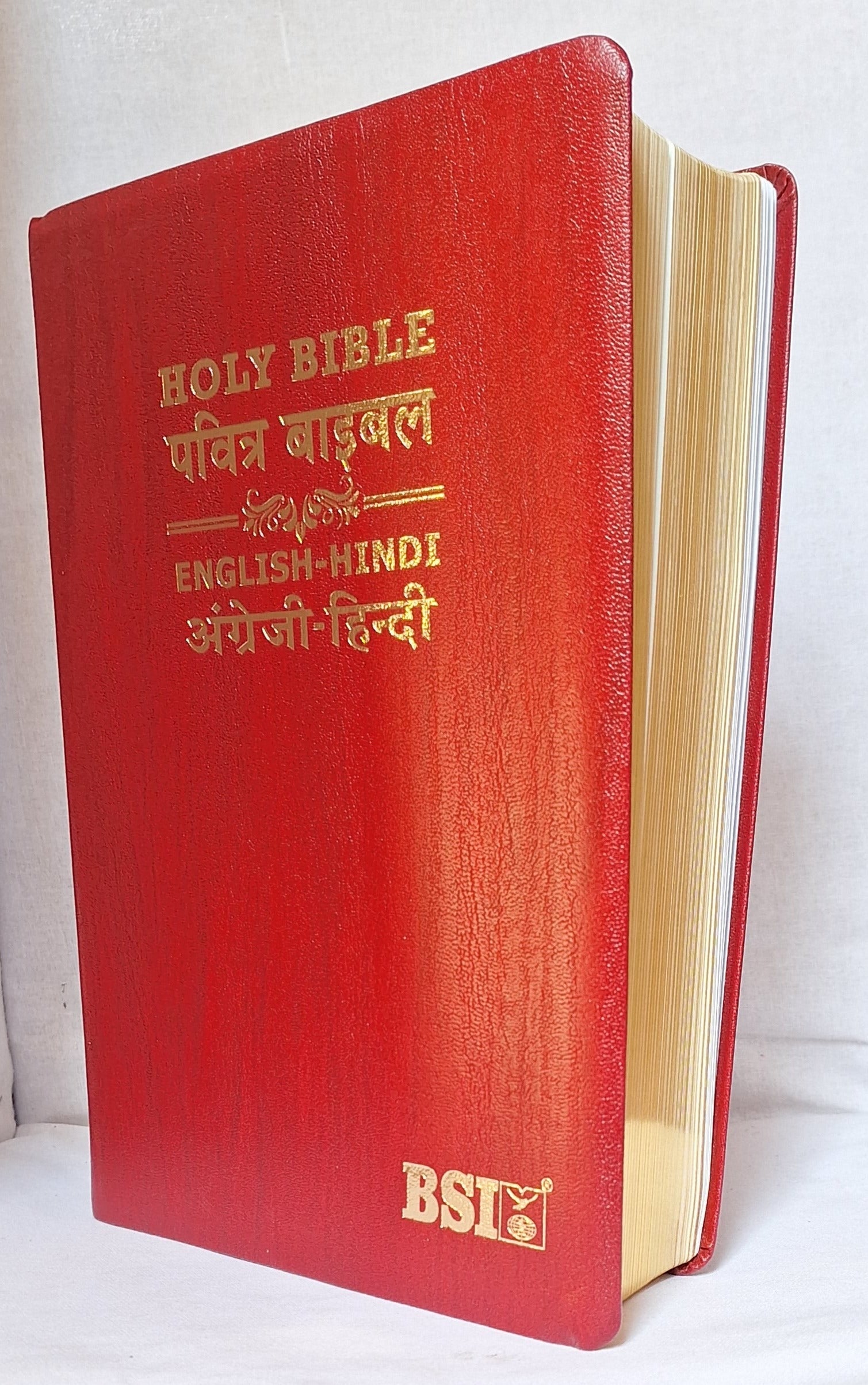 English Hindi Leather Bound Bilingual Holy Bible