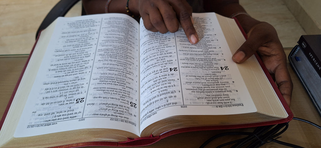 English Hindi Leather Bound Bilingual Holy Bible