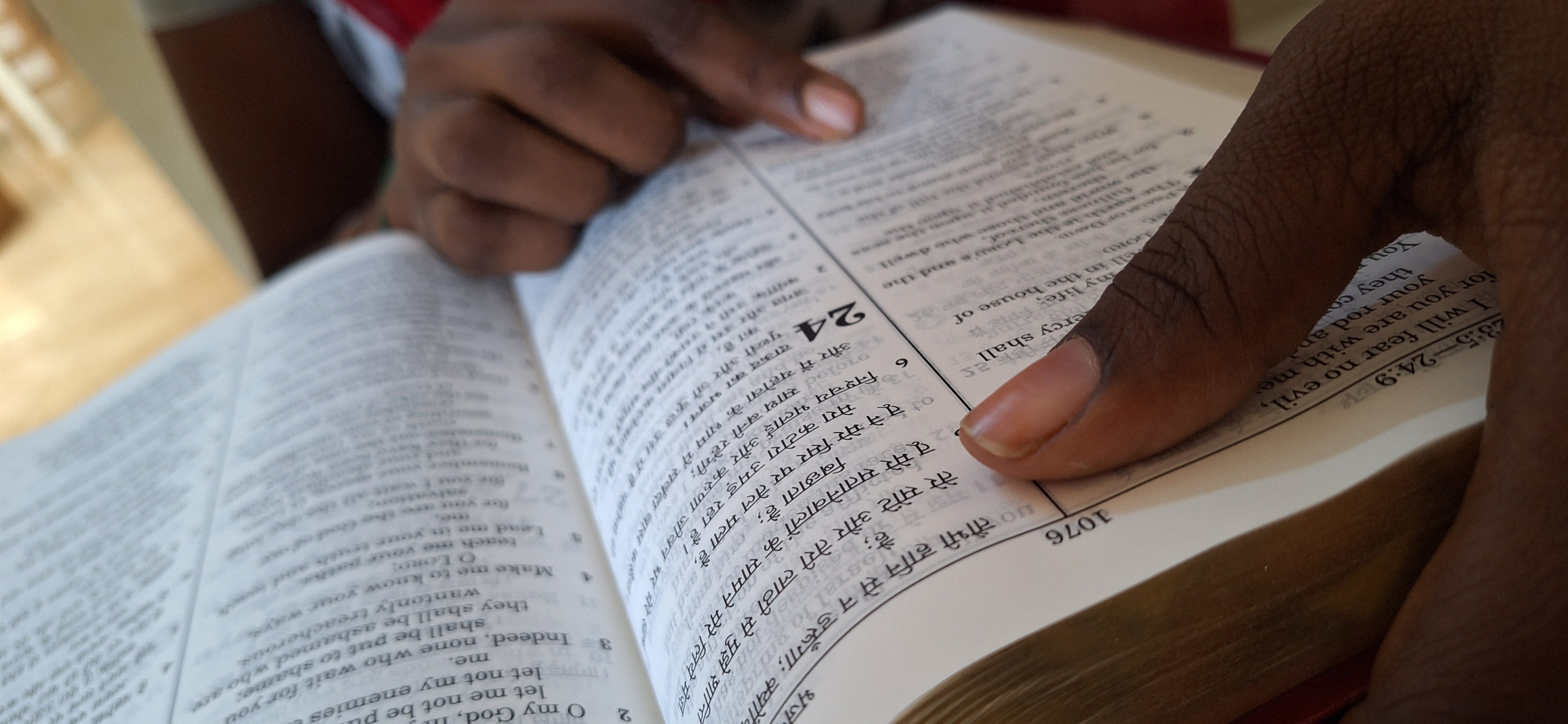 English Hindi Leather Bound Bilingual Holy Bible