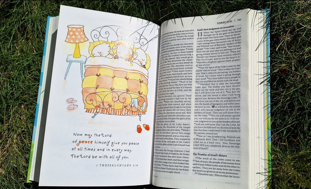 clearance Sale! NIV, Really Woolly Bible, Hardcover, Blue: New International Version Hardcover – Import