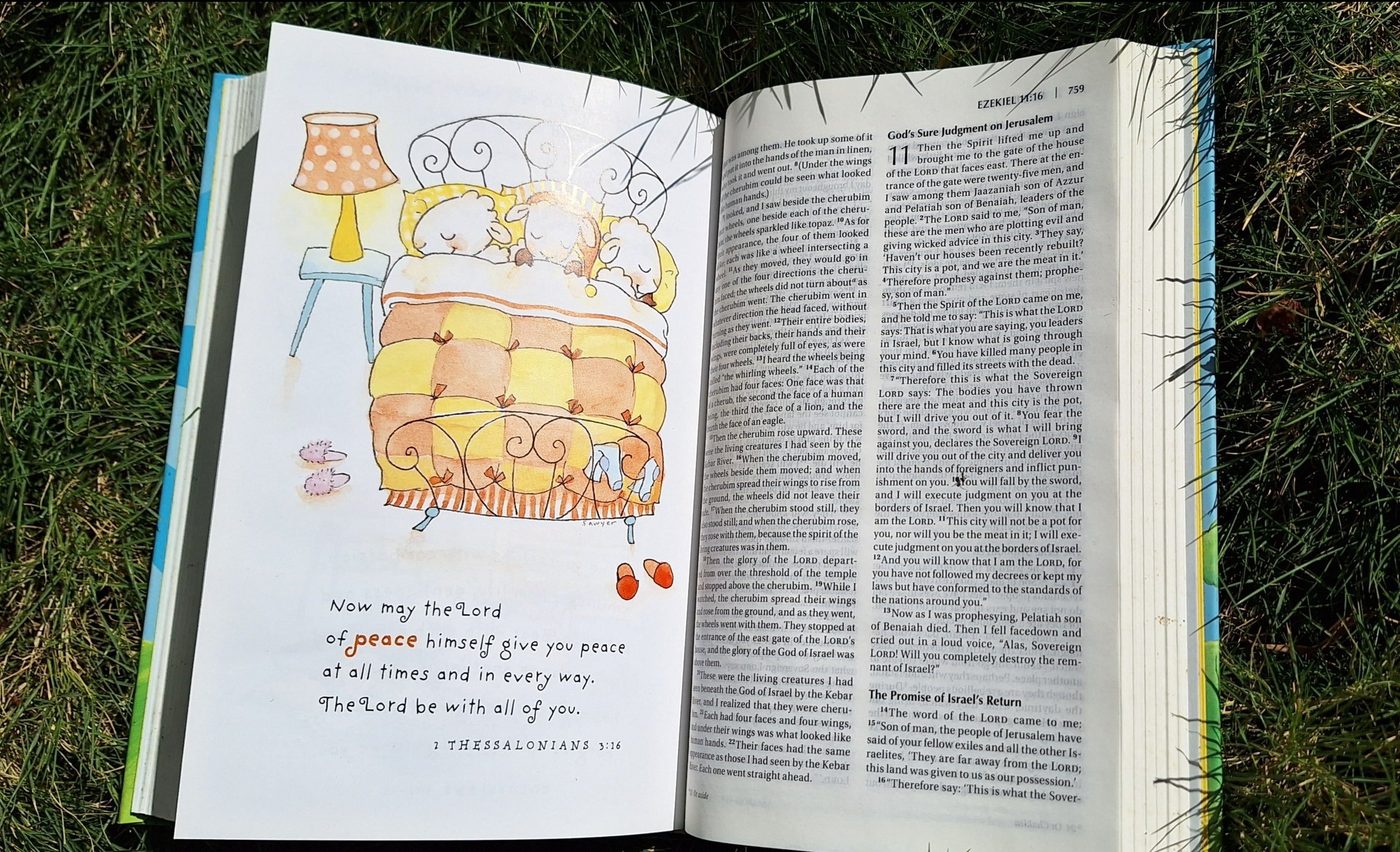 clearance Sale! NIV, Really Woolly Bible, Hardcover, Blue: New International Version Hardcover – Import