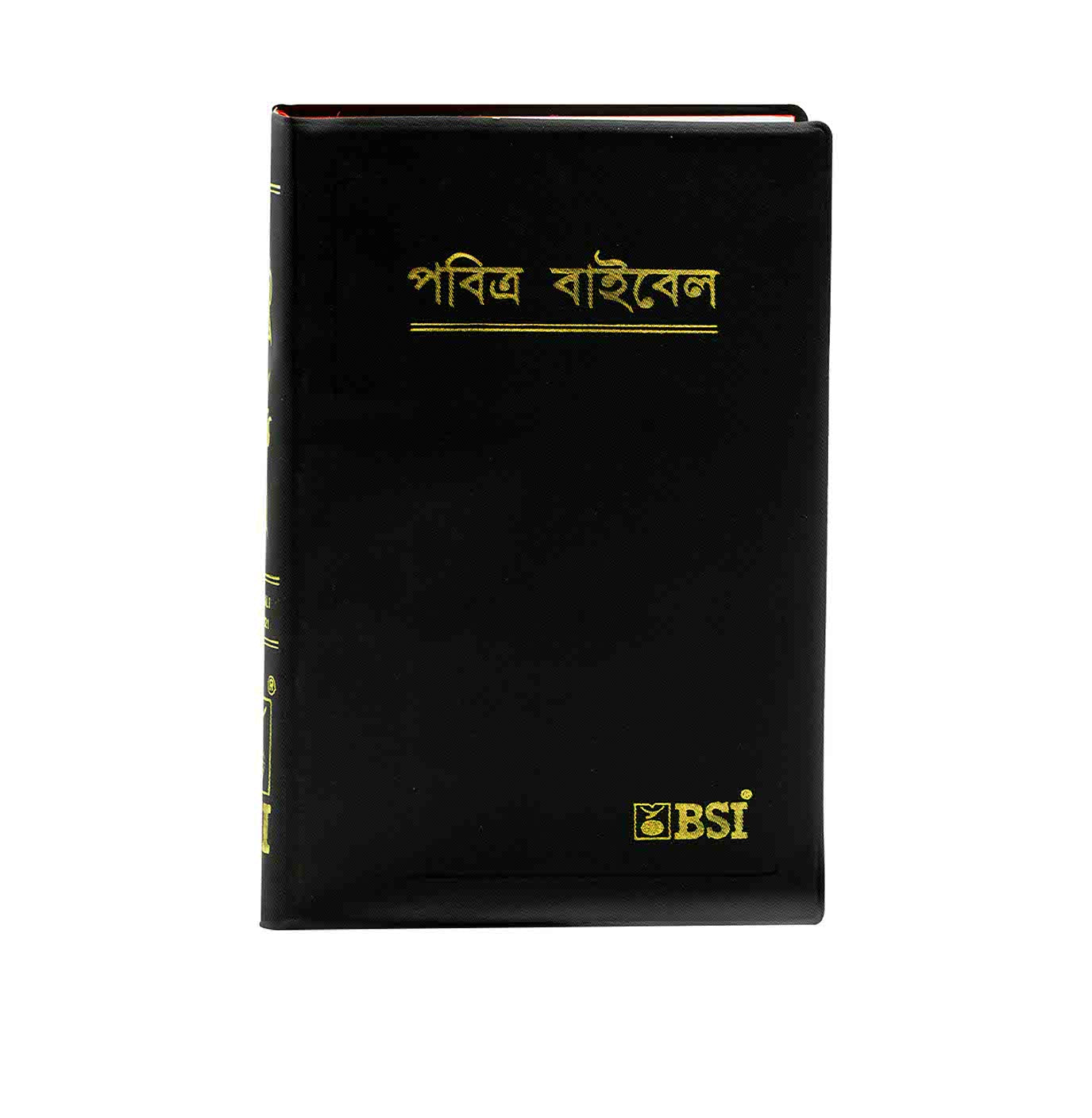 Holy Bible (Bengali)
