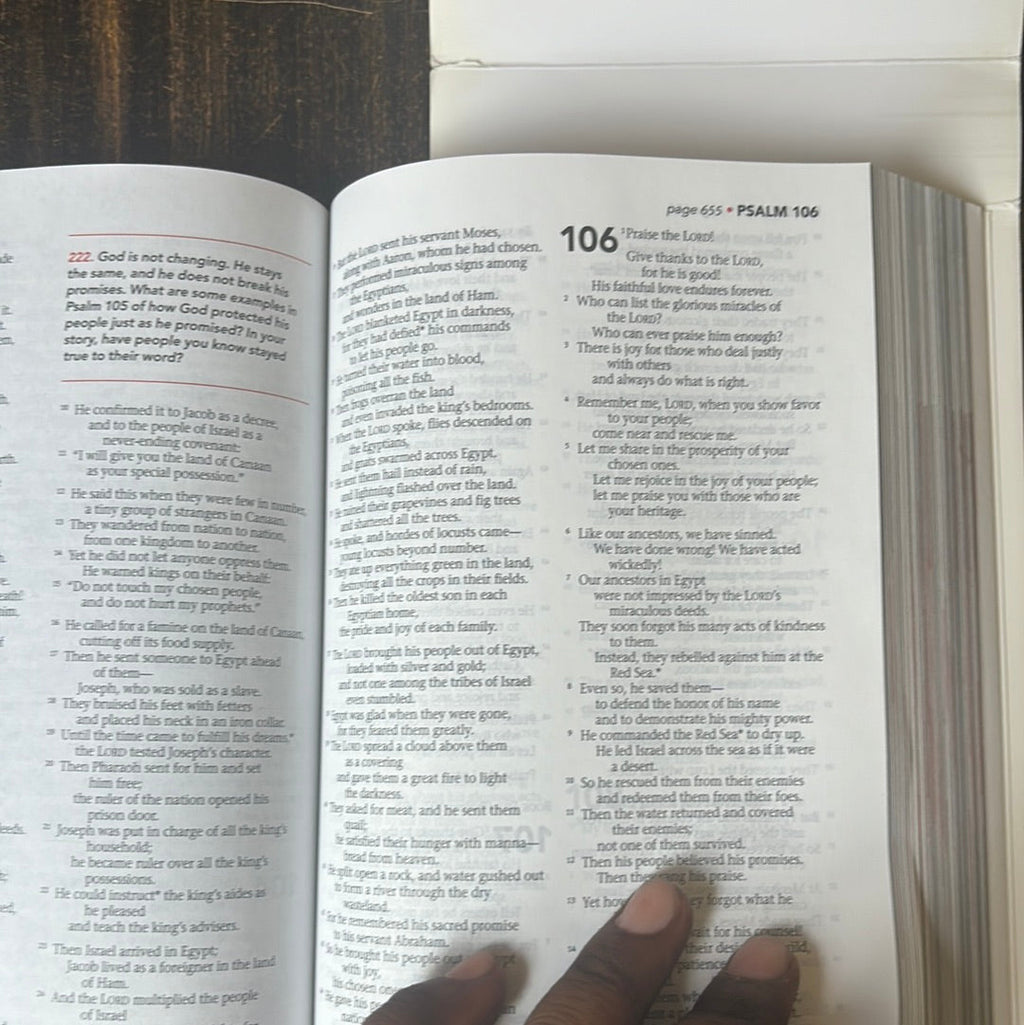 Get the NLT Three Story Bible at a Discount - Clearance Sale