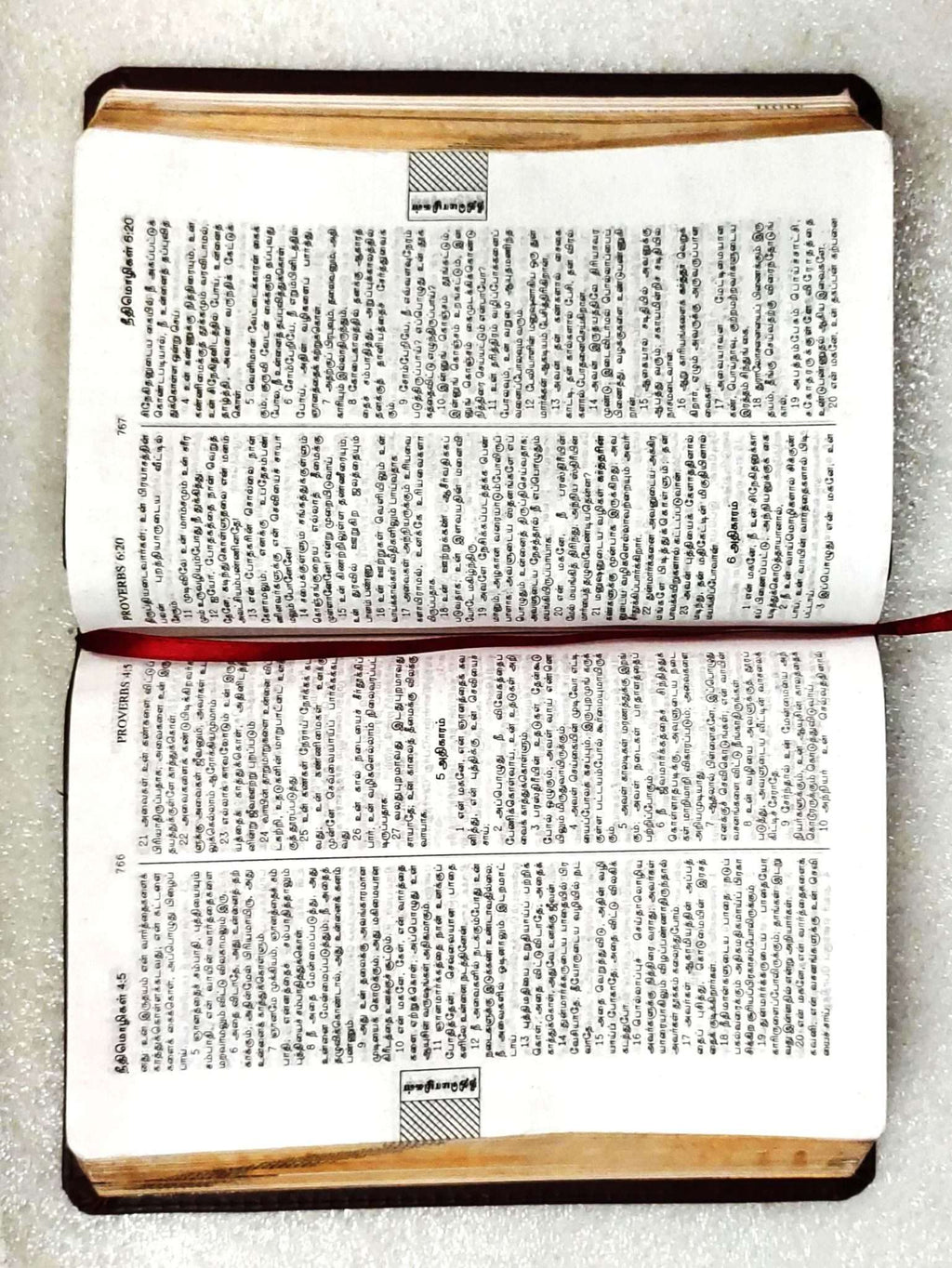 Tamil Bible, Red Letter Edition with Study Helps, Semi-Royal Size, Black Leather-Bound