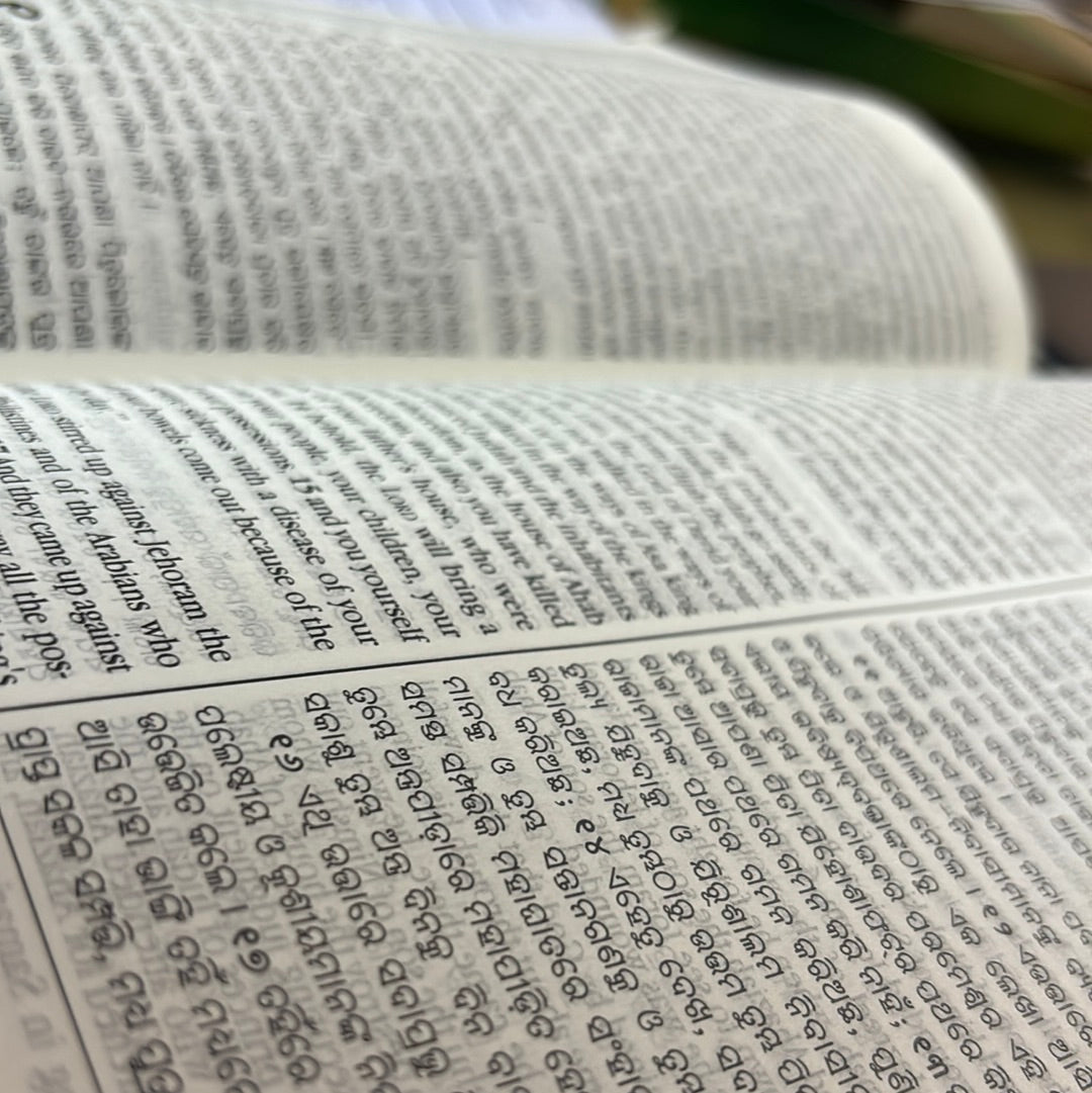 English and Odia Holy Bible, bilingual PU leather