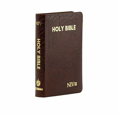 NIV Holy Bible Capsule, Cranberry | Chri + The Message Compact: The Bible in Contem Combo