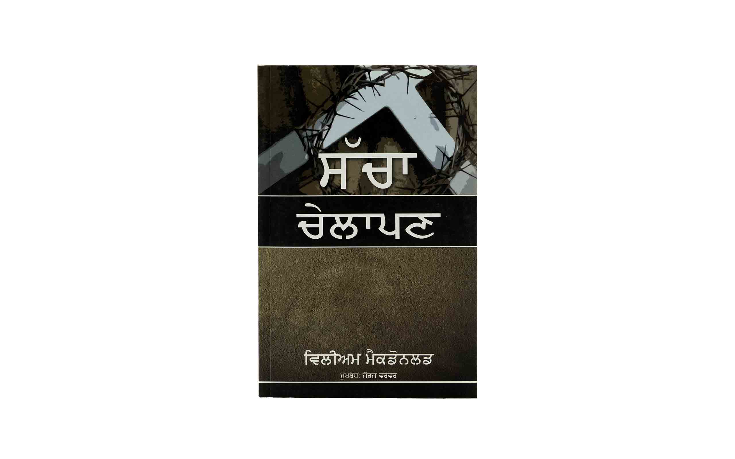 True Discipleship (Punjabi)