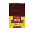The Holy Bible: King James Version, Burgundy, Imitation Leather, Gift & Award