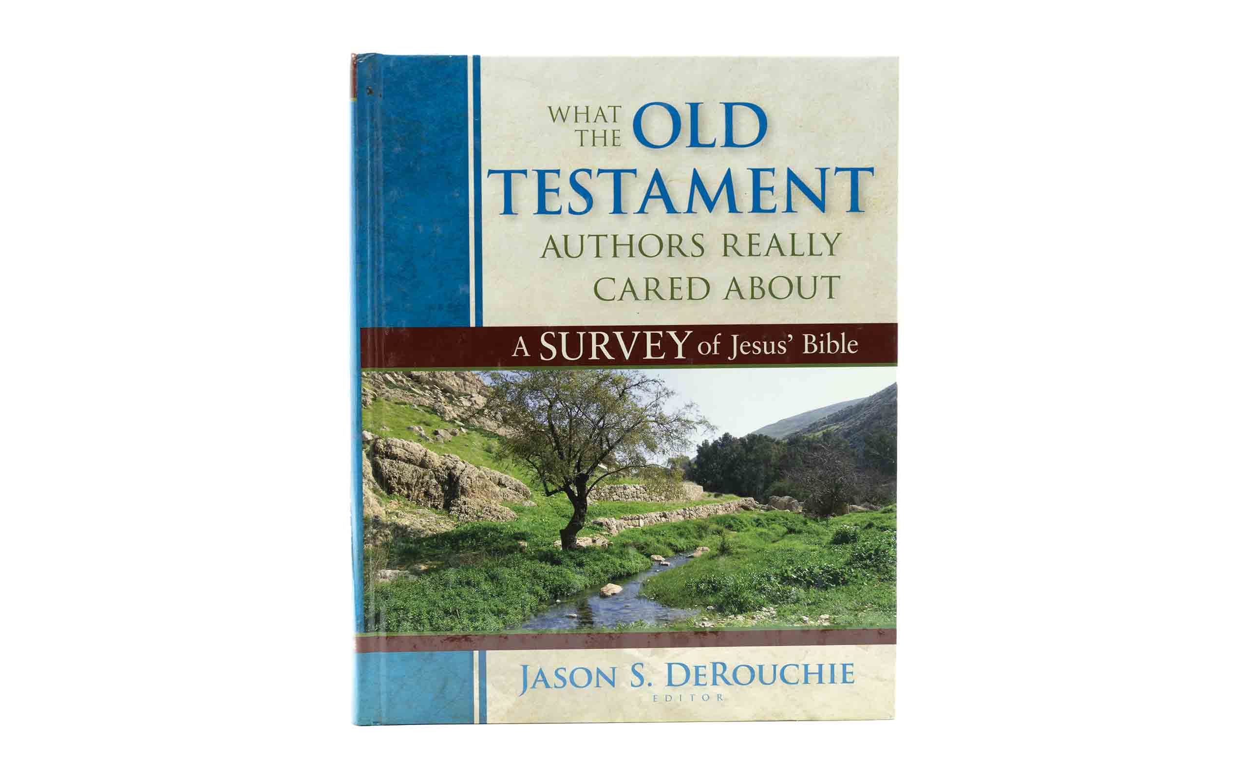 What the Old Testament Authors Really Cared About: A Survey of Jesus` Bible