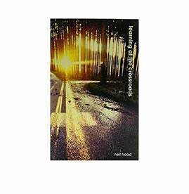 Learning at the Crossroads: A Traveller's Guide to Christian Life