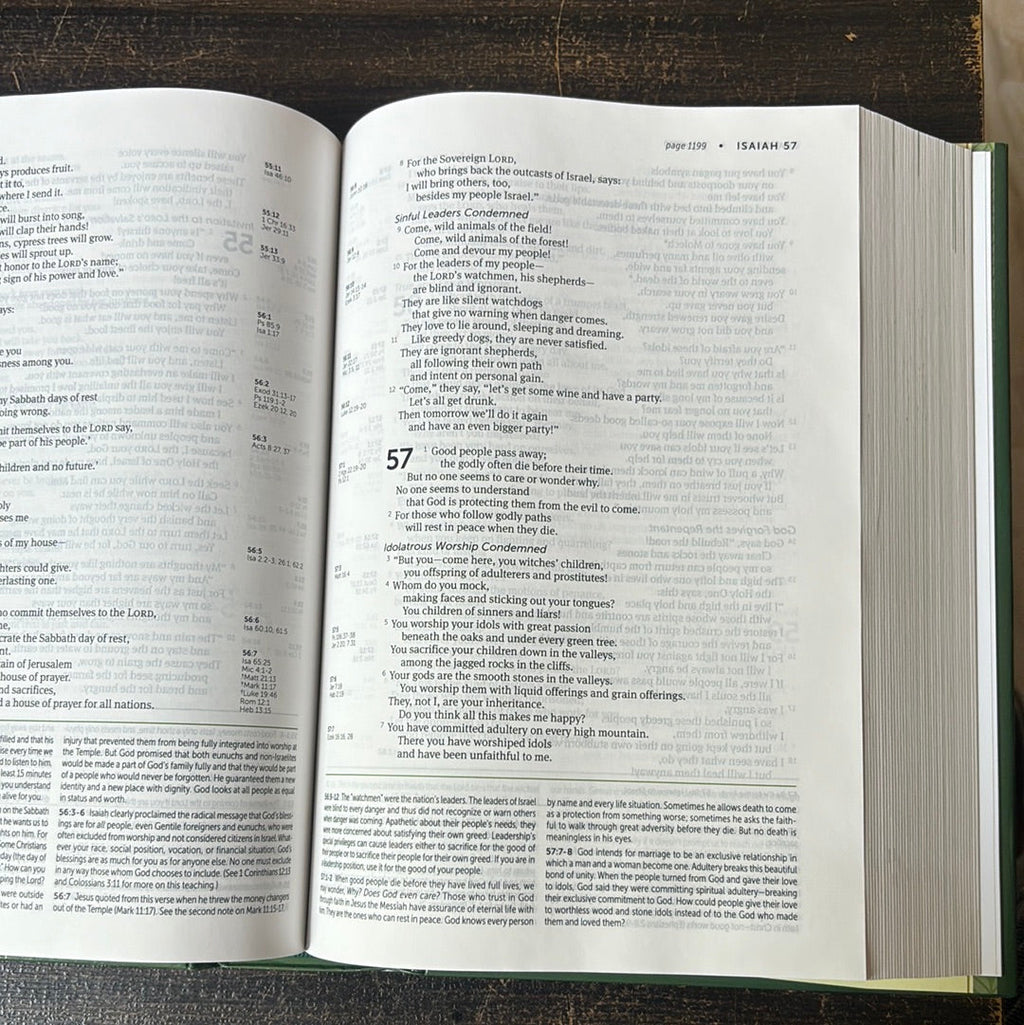 Best NLT Bible - New Living Translation Life Application Study Bible Hardcover