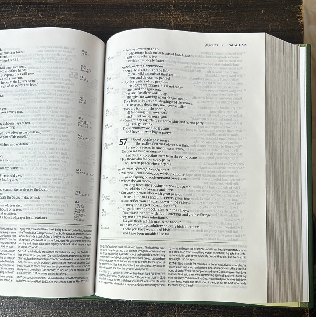 Best NLT Bible - New Living Translation Life Application Study Bible Hardcover
