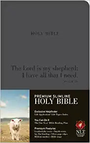 NLT Premium Slimline Imitation Leather Bible Cover