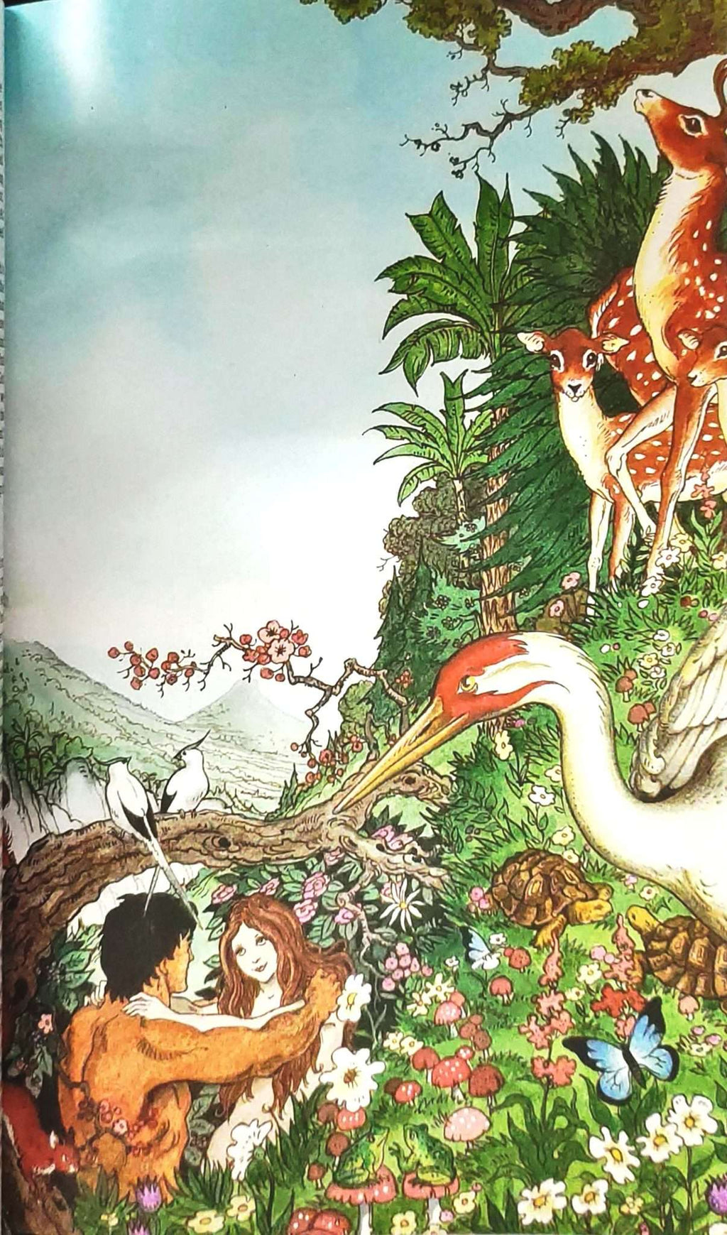 NRSV Children’s Bible, Hardbound Edition (ISBN: 9781496472014)