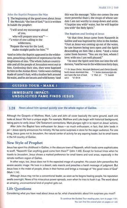NIV Student Bible, Personal Size, Tan LeatherSoft Edition (ISBN: 9780310461715)