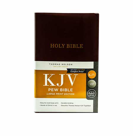 KJV Pew Bible Large Print | Christian Bible Service + Our Daily Life: 365 Daily Meditations for Spir