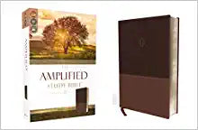 Amplified Study Bible in Leathersoft Hardcover Brown Imitation Leather