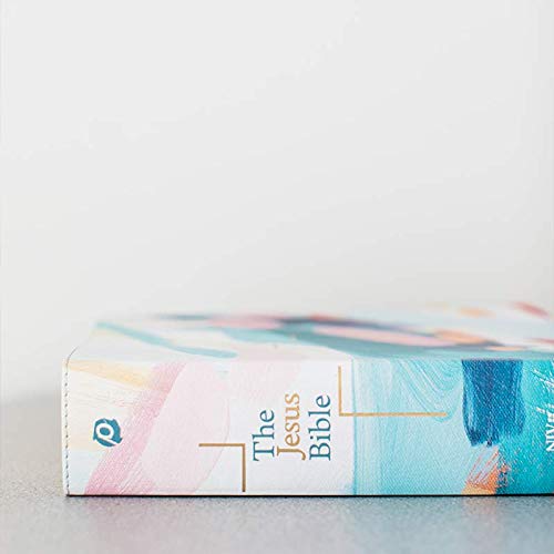 Holy Bible: New International Version, Multi-Color / Teal, Leathersoft, Study, Comfort Print Imitation Leather – Import