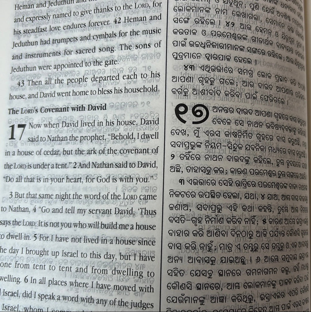 English Odia bilingual Holy Bible, PU black leather