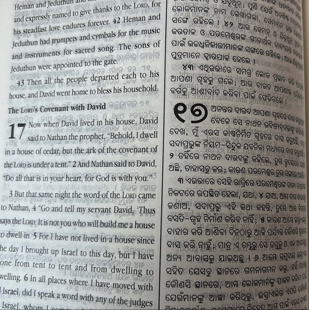 English Odia bilingual Holy Bible, PU black leather
