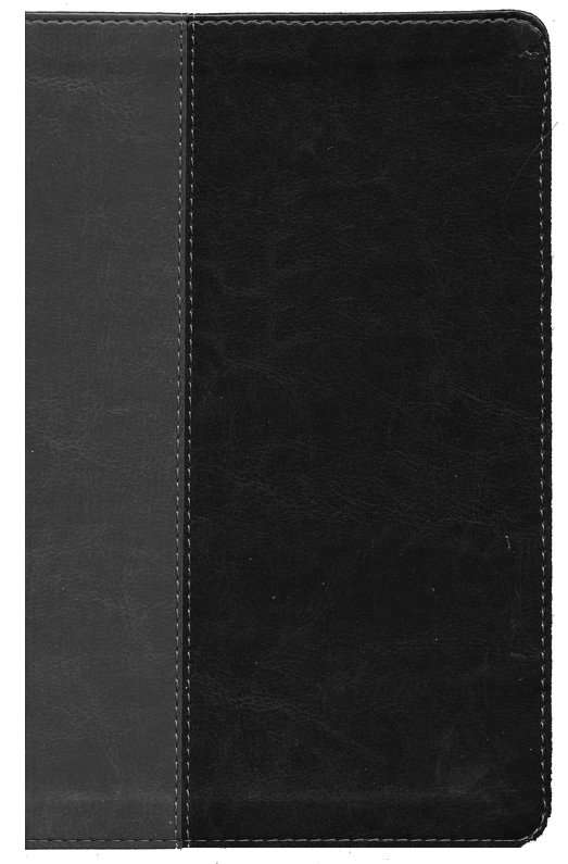 NIV Large Print Personal Size Bible, Black and Grey Leathersoft Cover (ISBN 9780310454267)