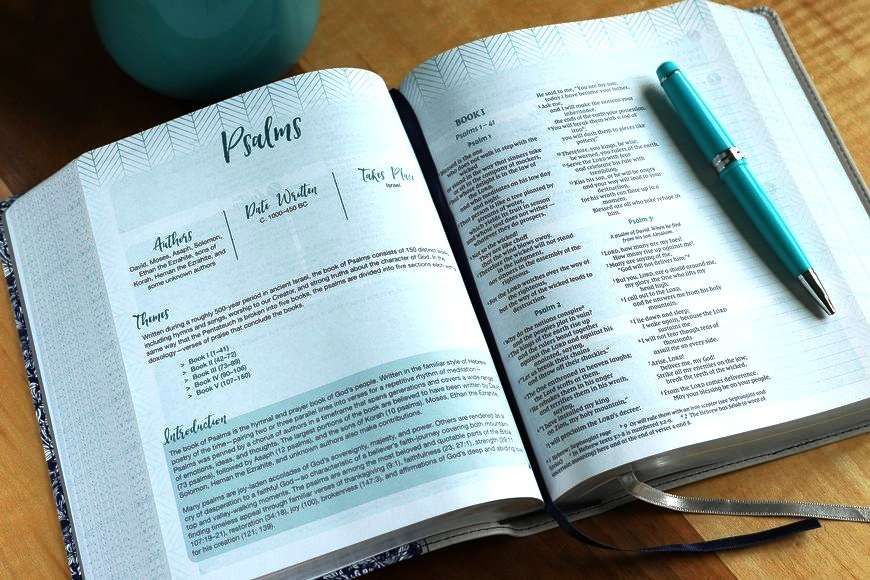 NIV Verse Mapping Bible, Gray Cloth Over Board Hardbound Journal Edition (ISBN: 9780310454595)