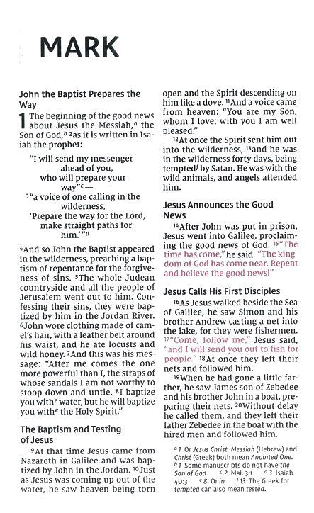 NIV Large Print Personal Size Bible, Black and Grey Leathersoft Cover (ISBN 9780310454267)