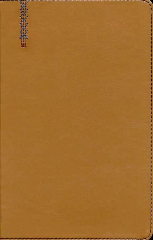 NIV Student Bible, Personal Size, Tan LeatherSoft Edition (ISBN: 9780310461715)