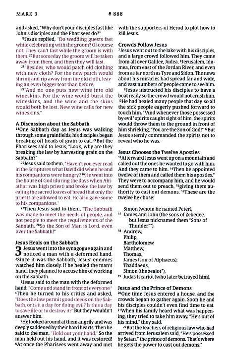 NLT New Living Translation Thinline Reference Bible, Atlas Rustic Brown Zippered Leather-Like Cover