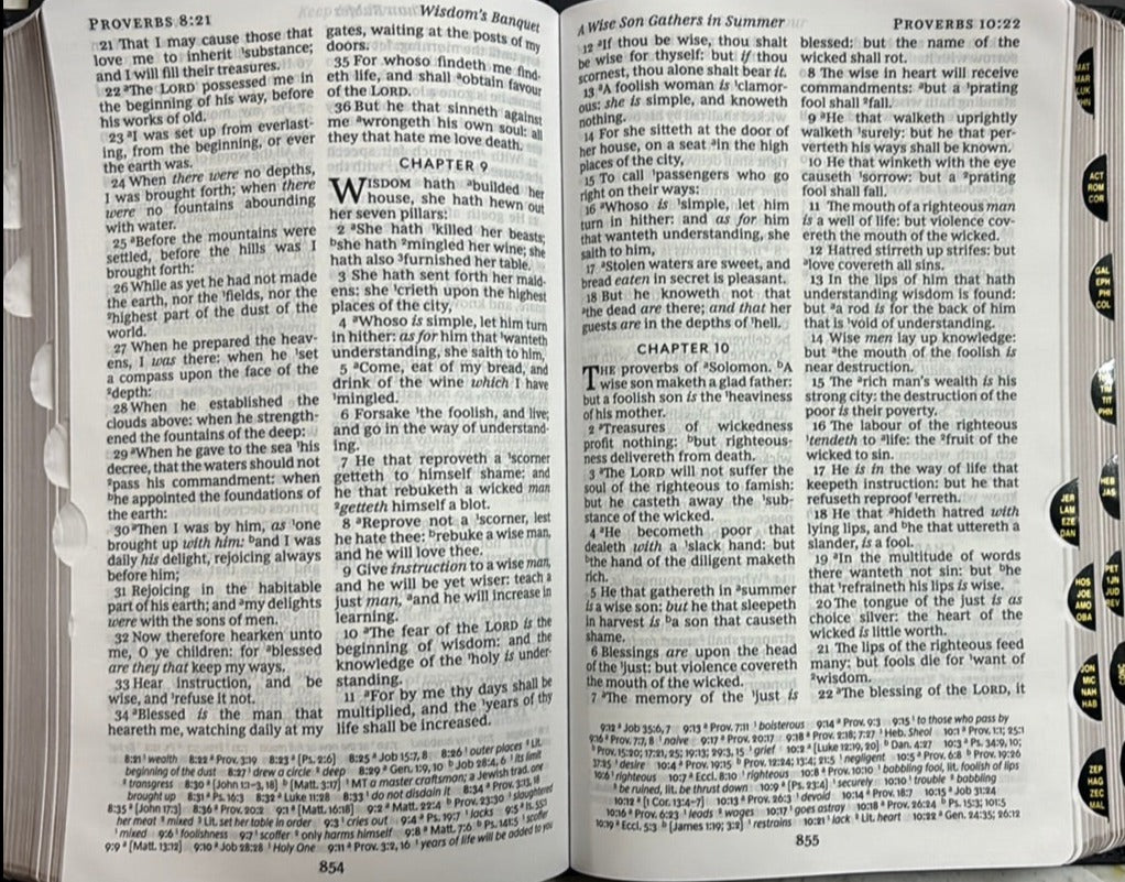KJV Reference Bible with Red Letter Large Print Vintage Series Leathersoft Cover