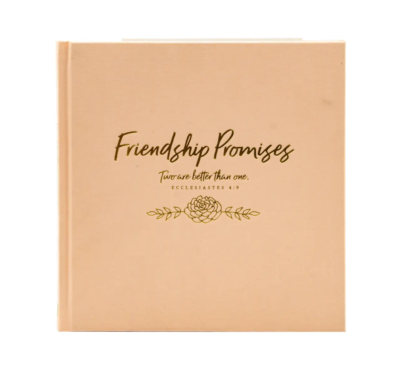 Friendship Promises